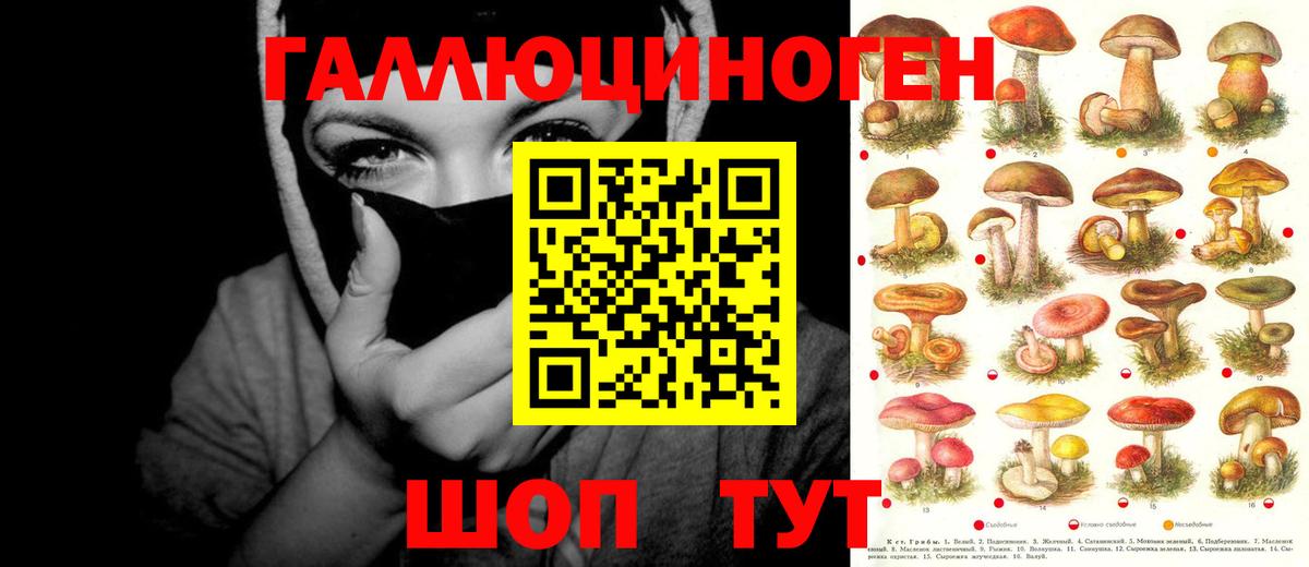 Псилоцибиновые грибы GOLDEN TEACHER  Вход с VPN  Псилоцибиновые грибы ЛСД  Выкса 