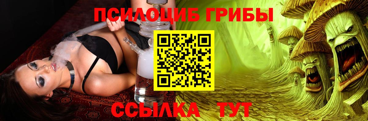 Галлюциногенные грибы Psilocybine cubensis Выкса